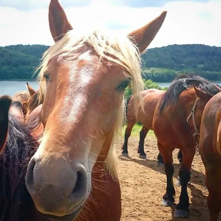 Séjour à la ferme Stare Gospodarstwo Pierszczewo